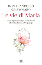 Cover of vie di Maria. Storie di pellegrinaggio e conversione a Lourdes, Fatima e Medjugorje