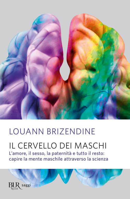Cover of cervello dei maschi. L'amore, il sesso, la paternità e tutto il resto: capire la mente maschile attraverso la scienza