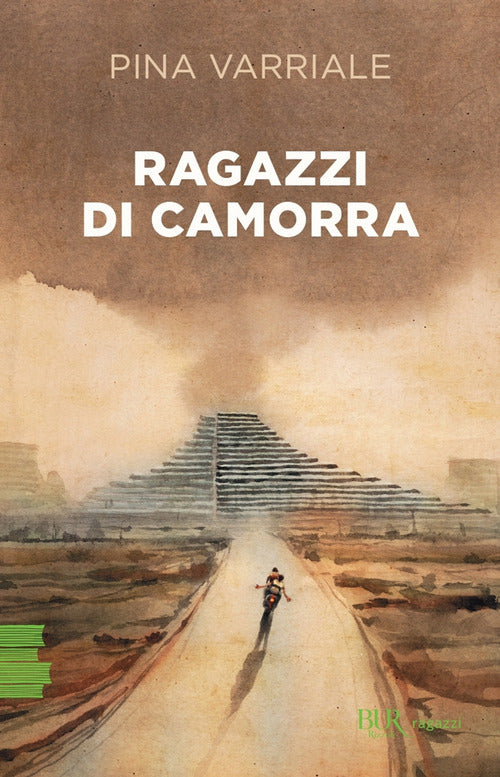 Cover of Ragazzi di camorra