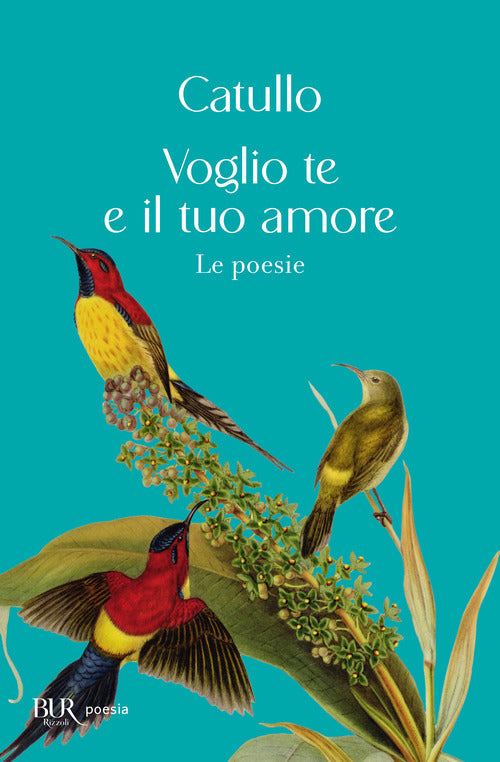 Cover of Voglio te e il tuo amore