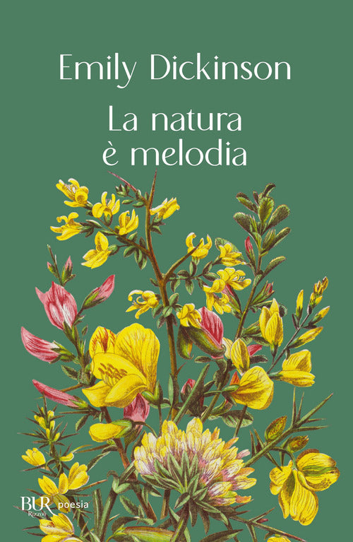 Cover of natura è melodia