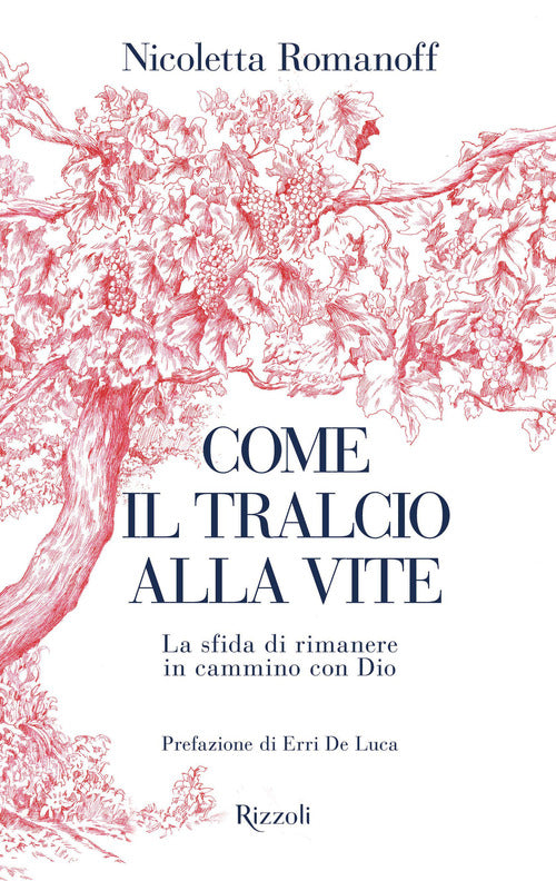 Come il tralcio alla vite. La sfida di rimanere in cammino con Dio