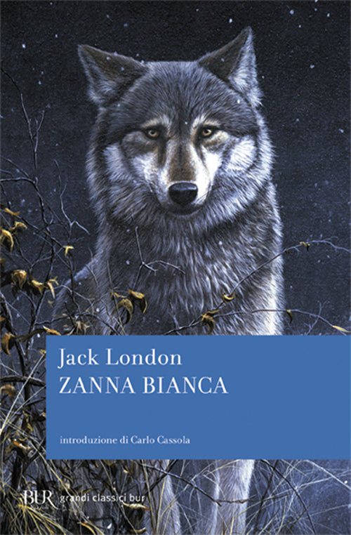 Cover of Zanna Bianca