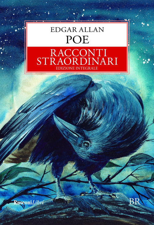 Cover of Racconti straordinari