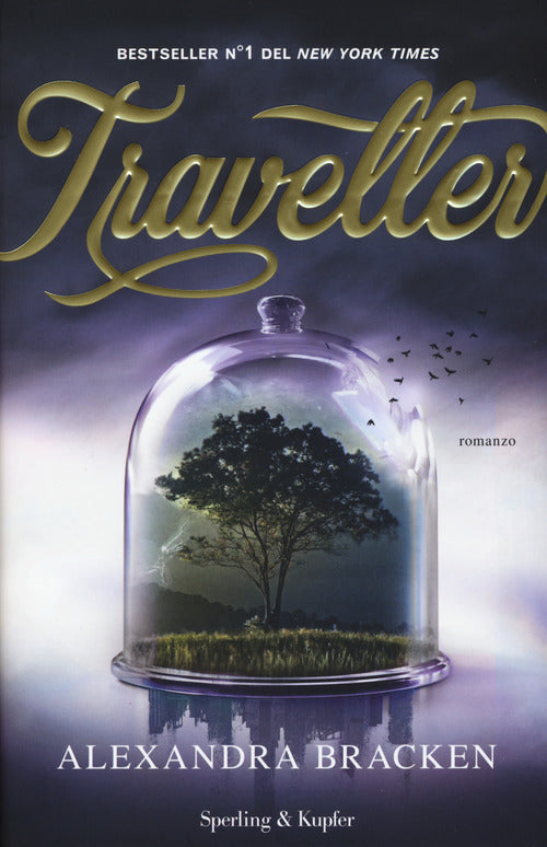 Cover of Traveller