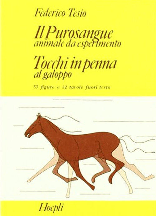 Cover of purosangue: animale da esperimento. Tocchi in penna al galoppo