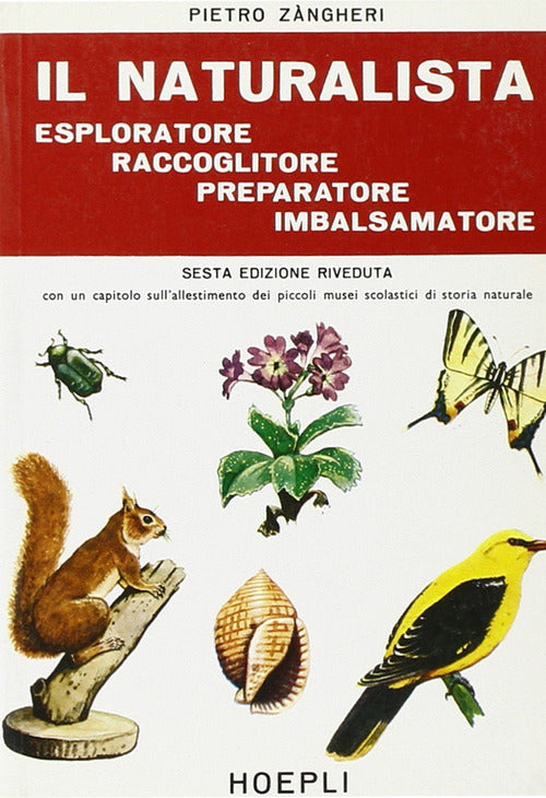 Cover of naturalista esploratore, raccoglitore, preparatore, imbalsamatore