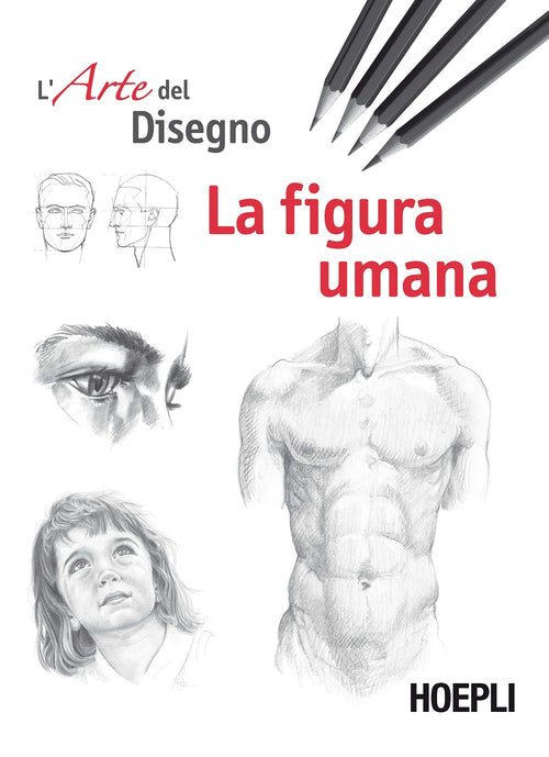 Cover of figura umana. Esercizi. L'arte del disegno