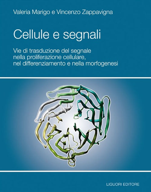 Cover of Cellule e segnali. Vie di trasduzione del segnale nella proliferazione cellulare e nella morfogenesi