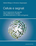 Cover of Cellule e segnali. Vie di trasduzione del segnale nella proliferazione cellulare e nella morfogenesi