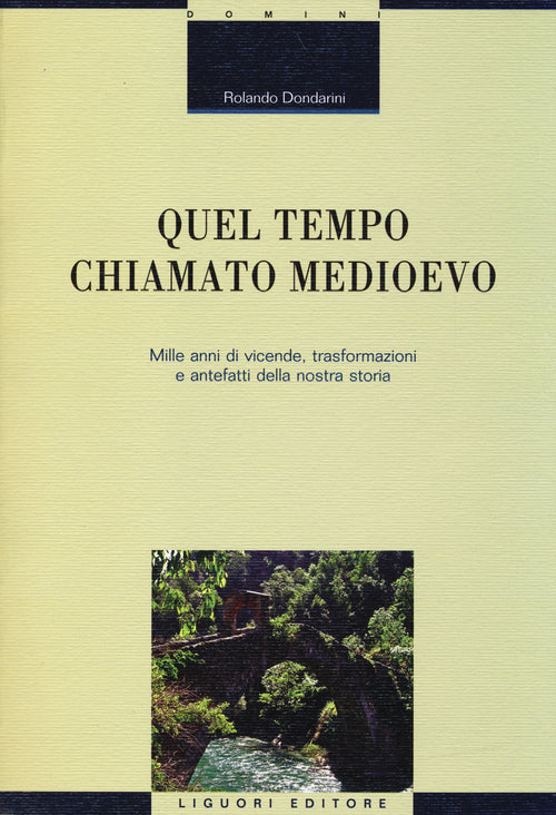 Cover of Quel tempo chiamato Medioevo. Mille anni di vicende, trasformazioni e antefatti della nostra storia