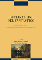 Cover of Declinazioni del fantastico La prospettiva critica di Romolo Runcini e l'opera di Edgar Allan Poe