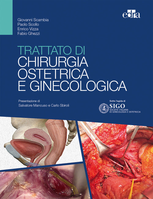 Cover of Trattato di chirurgia ostetrica e ginecologica