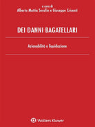 Cover of Dei danni bagatellari. Azionabilità e liquidazione