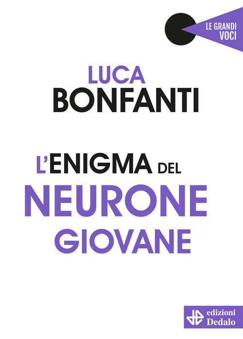 Cover of enigma del neurone giovane