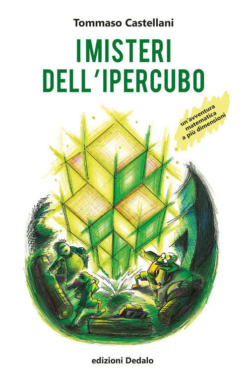 Cover of misteri dell'ipercubo. Un'avventura matematica a più dimensioni