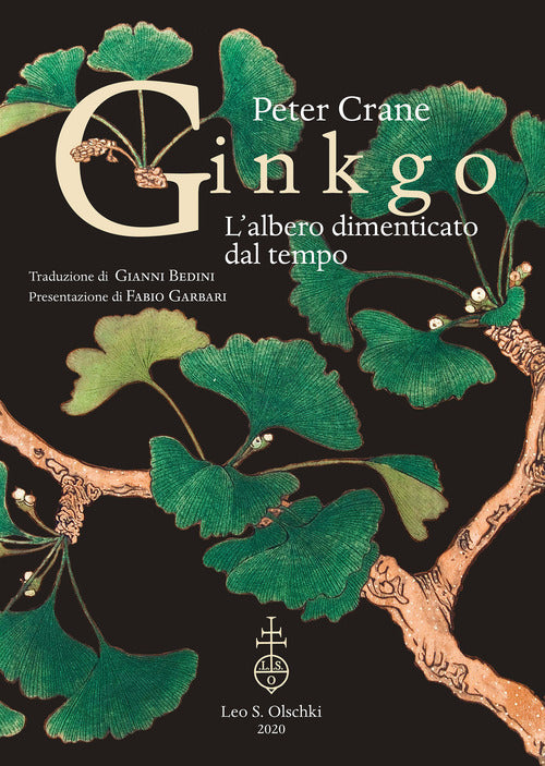 Cover of Ginkgo. L'albero dimenticato dal tempo