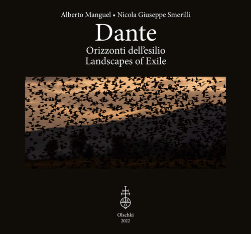 Cover of Dante. Orizzonti dell'esilio-Landscapes of exile