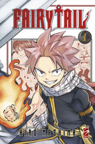 Cover of Fairy Tail. Ediz. variant