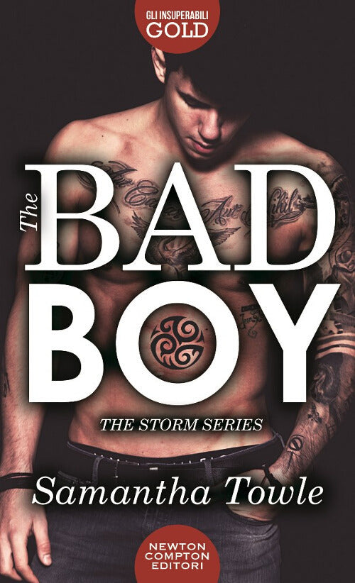 Cover of bad boy. The Storm series