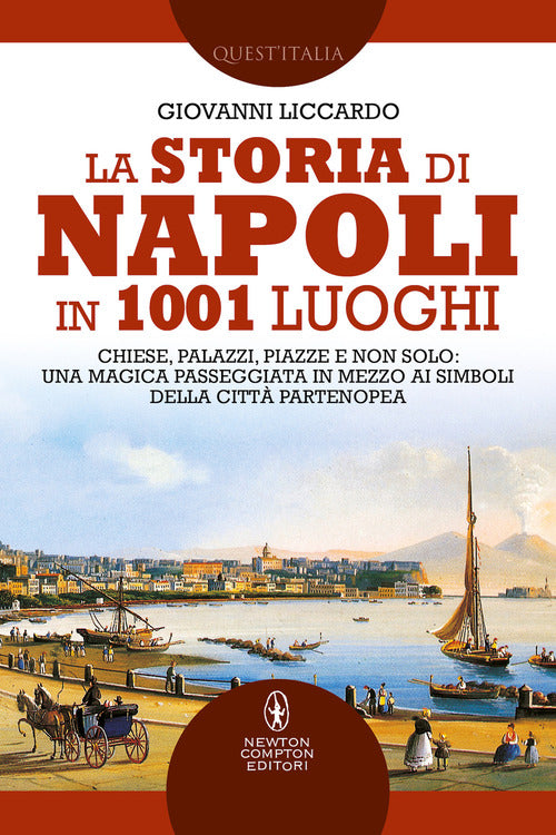 Cover of storia di Napoli in 1001 luoghi. Chiese, palazzi, piazze e non solo: una magica passeggiata in mezzo ai simboli della città partenopea