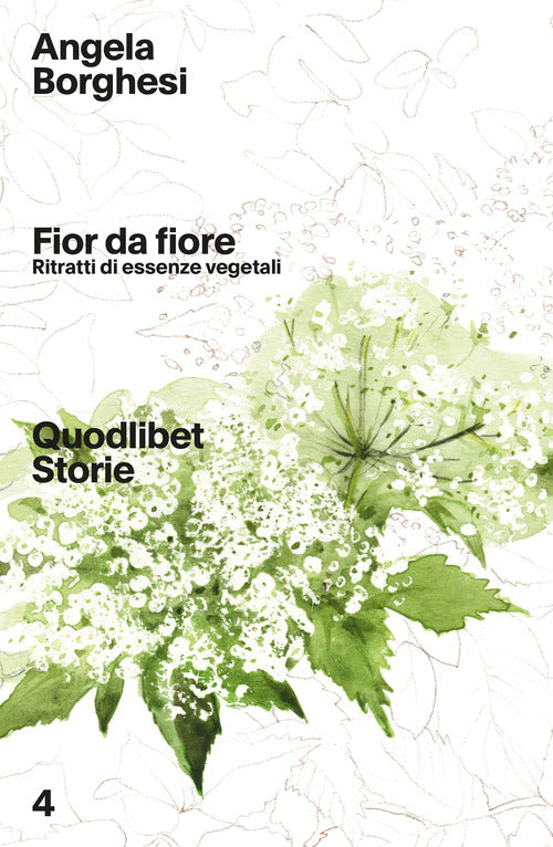 Cover of Fior da fiore. Ritratti di essenze vegetali