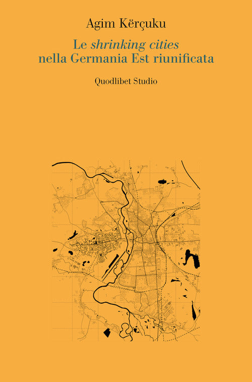 Cover of shrinking cities nella Germania Est riunificata