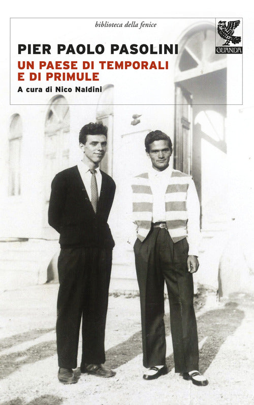 Cover of paese di temporali e di primule