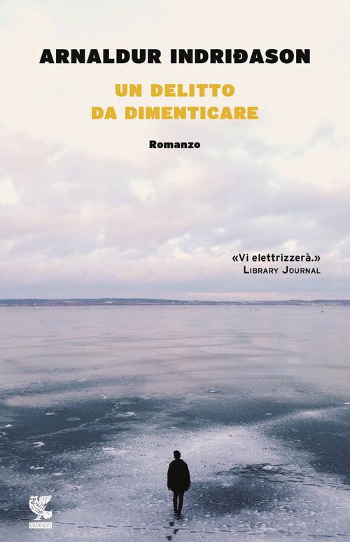 Cover of delitto da dimenticare. I casi dell'ispettore Erlendur Sveinsson