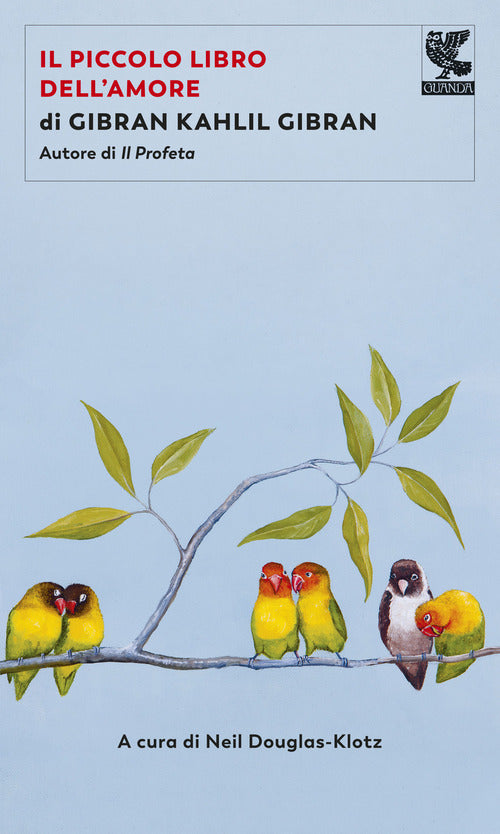 Cover of piccolo libro dell'amore