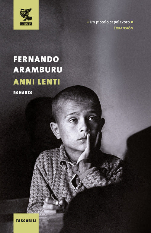 Cover of Anni lenti