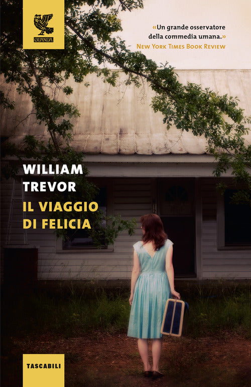 Cover of viaggio di Felicia