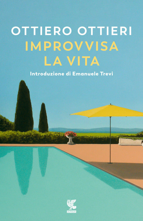 Cover of Improvvisa la vita