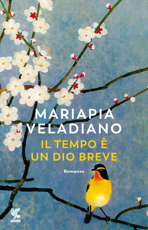 Cover of tempo è un dio breve