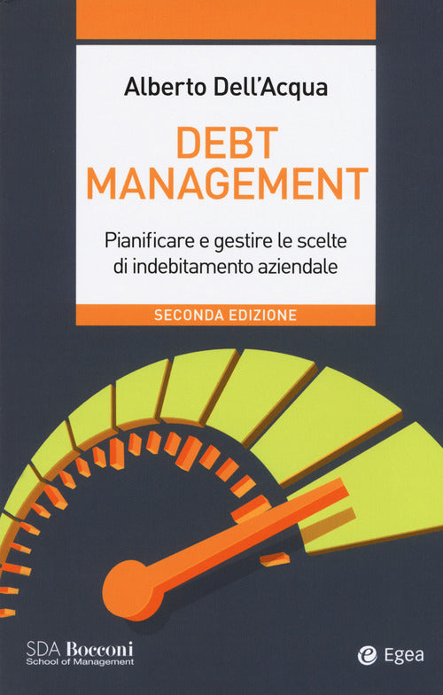 Cover of Debt management. Pianificare e gestire le scelte di indebitamento aziendale