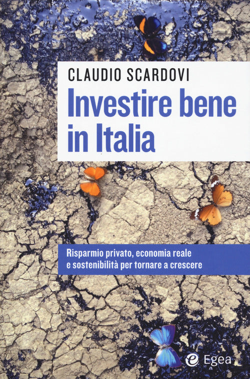 Cover of Investire bene in Italia. Risparmio privato, economia reale e sostenibilità per tornare a crescere