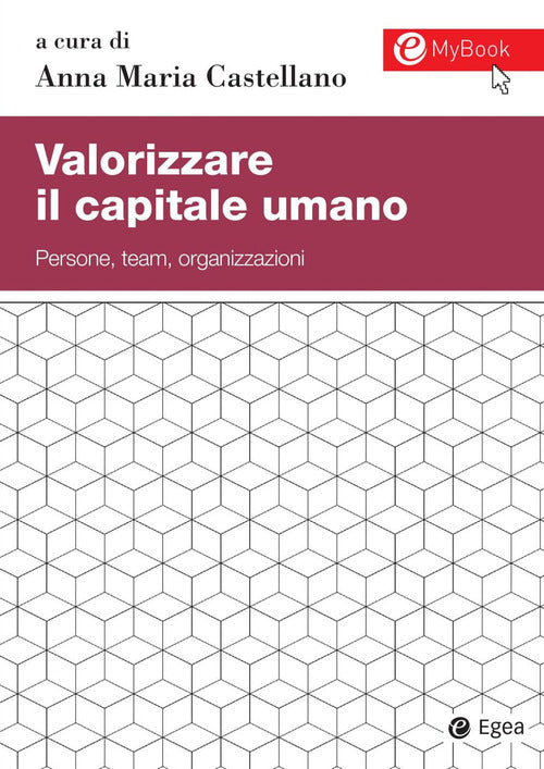 Cover of Valorizzare il capitale umano. Persone, team, organizzazioni