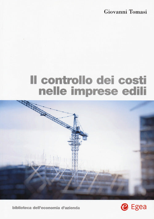 Cover of controllo dei costi nelle imprese edili