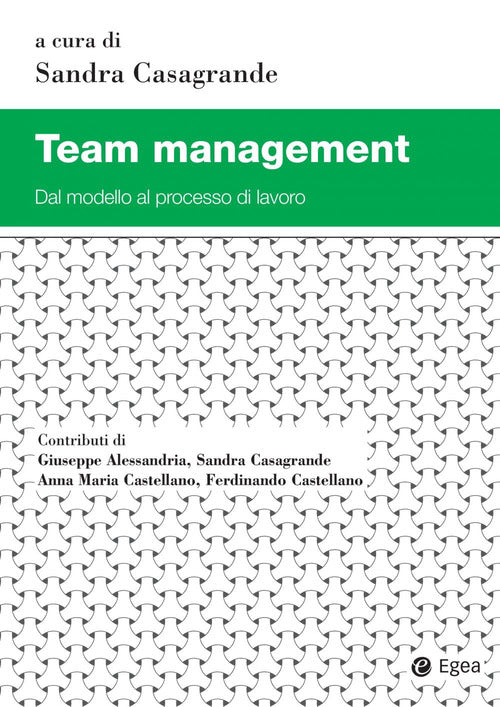 Cover of Team management. Dal modello al processo di lavoro