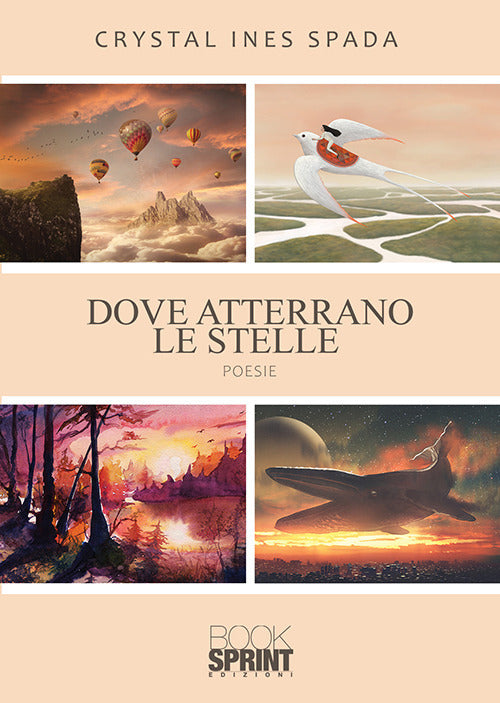 Cover of Dove atterrano le stelle