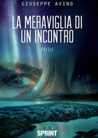 Cover of meraviglia di un incontro