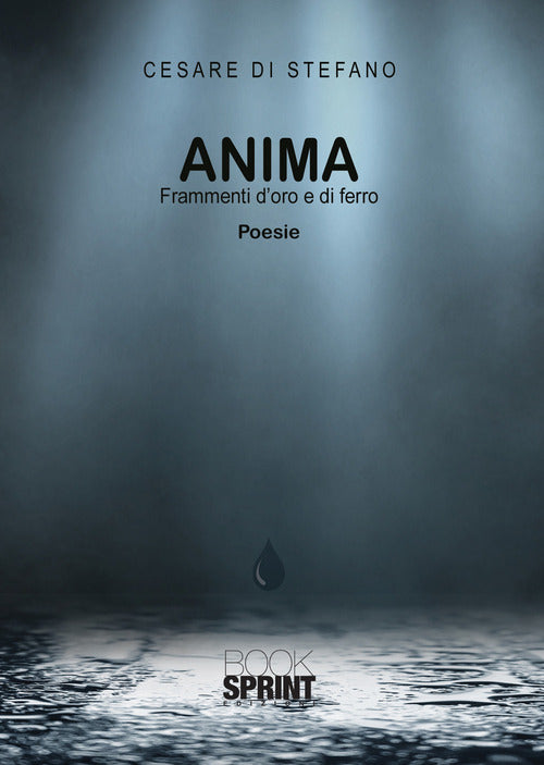 Cover of Anima. Frammenti d’oro e di ferro