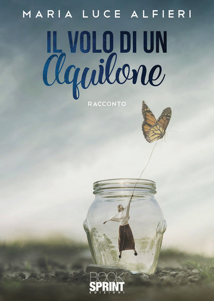 Cover of volo di un aquilone