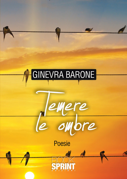 Cover of Temere le ombre