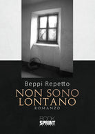 Cover of Non sono lontano
