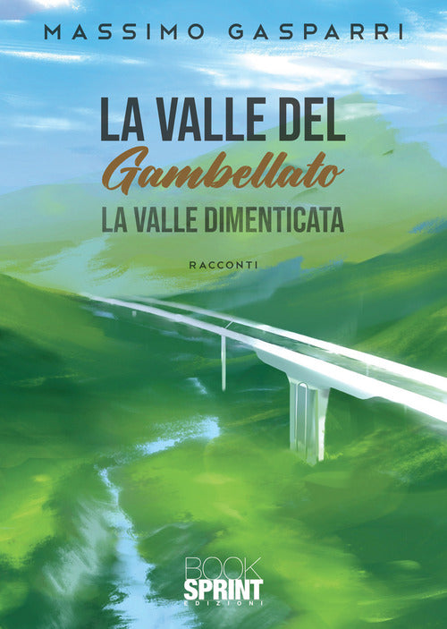 Cover of valle del Gambellato. La valle dimenticata