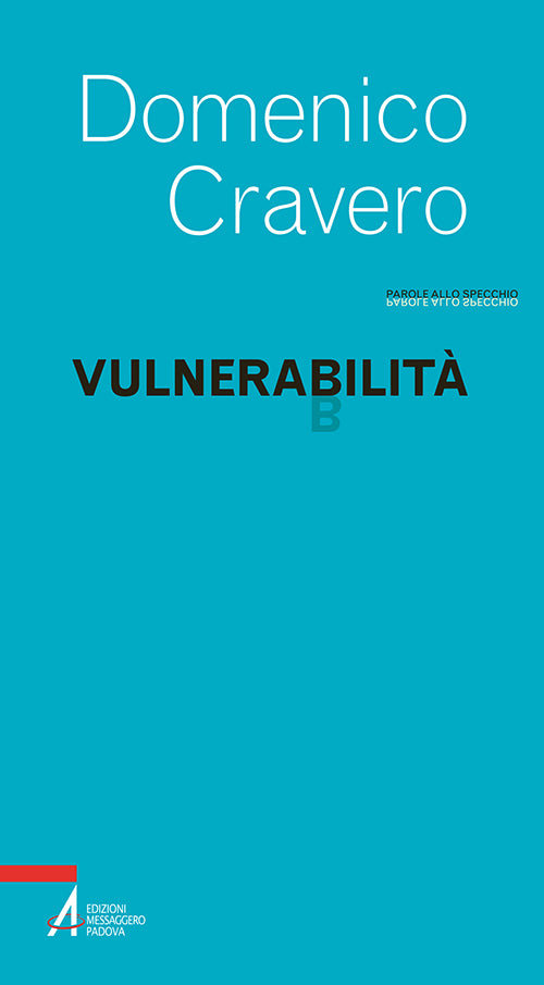 Cover of Vulnerabilità