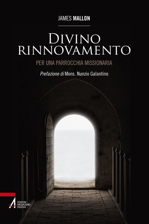Cover of Divino rinnovamento. Per una parrocchia missionaria