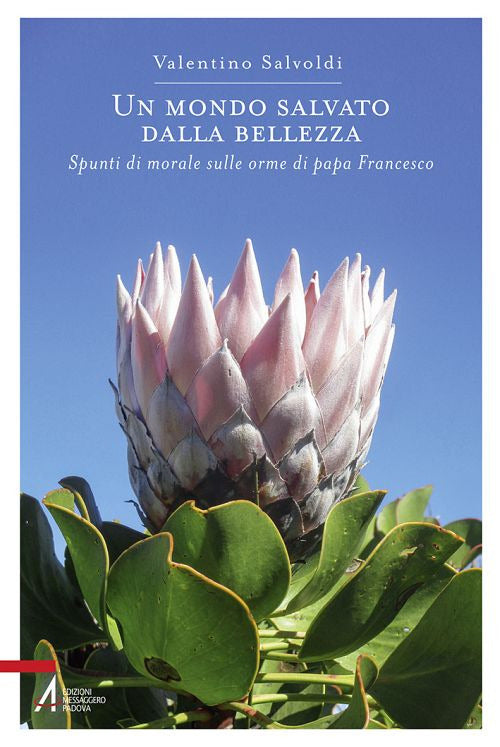 Cover of mondo salvato dalla bellezza. Spunti di morale sulle orme di papa Francesco
