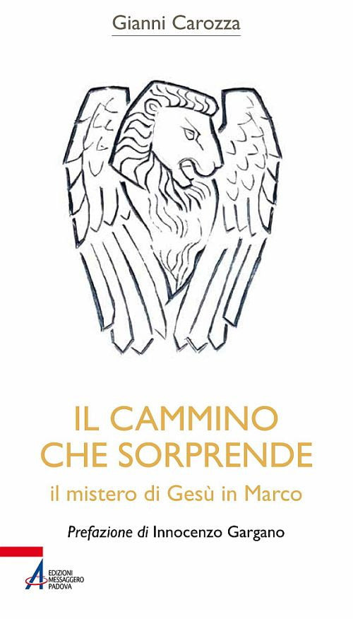 Cover of cammino che sorprende. Il mistero di Gesù in Marco